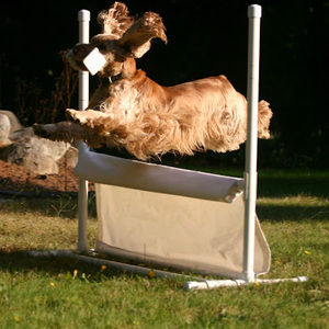 Meet your Posher, Jane